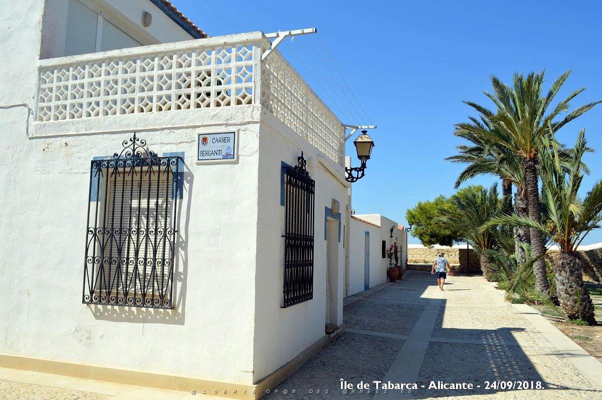 21 ALICANTE L ILE DE TABARCA (108).JPG